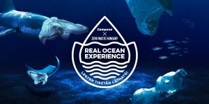 Az óceánok valódi világa